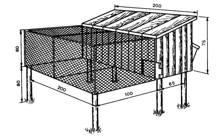 cellule 5