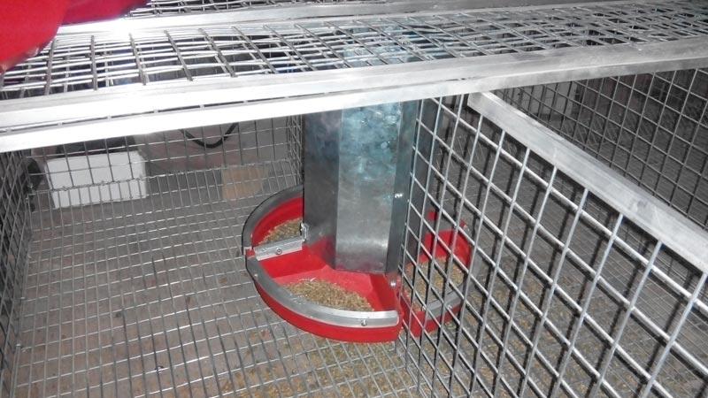 Dimensions and drawings of the 10 best types of rabbit feeders