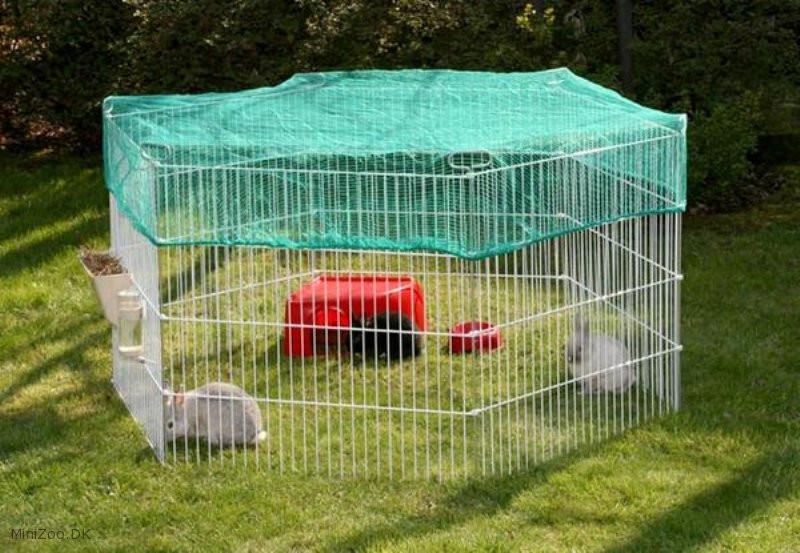 rabbit enclosure