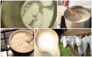 Why boiling goat milk sometimes curdles and how to avoid it