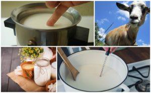 Est-il nécessaire et pendant combien de temps de faire bouillir le lait de chèvre, règles de conservation des produits