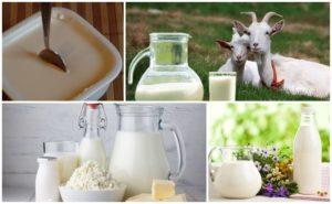 Recipes for making goat milk sour cream at home