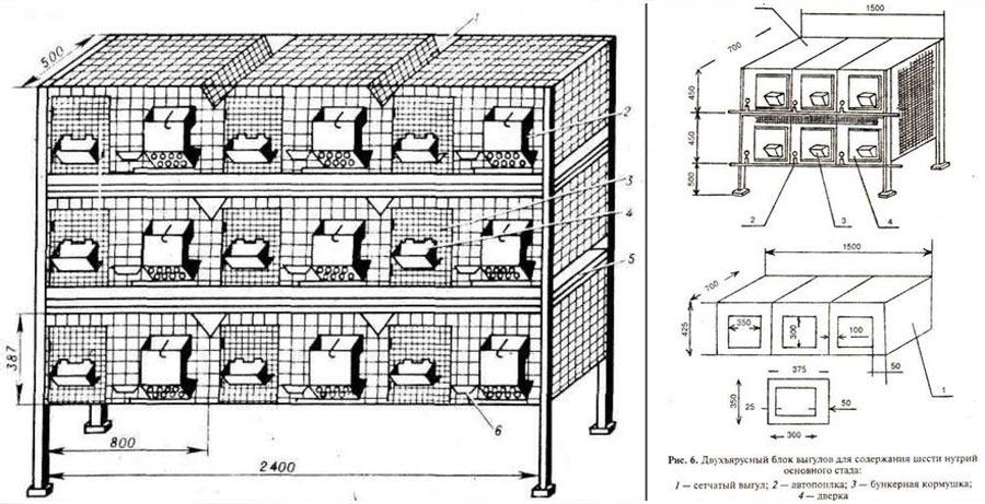 20 dibujos de bricolaje con las dimensiones de las jaulas de conejos y video de montaje