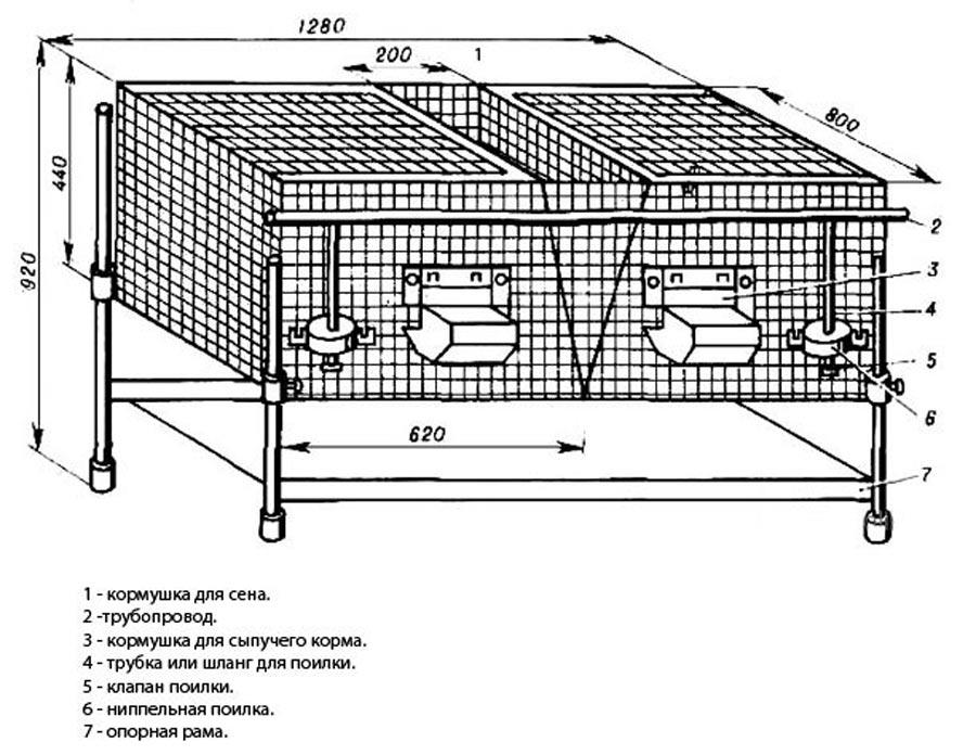 20 do-it-yourself drawings with the dimensions of rabbit cages and assembly video