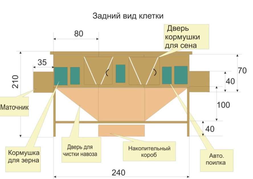 rabbitry blueprint