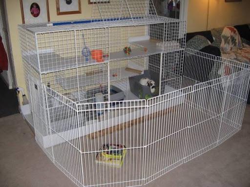 house for rabbits