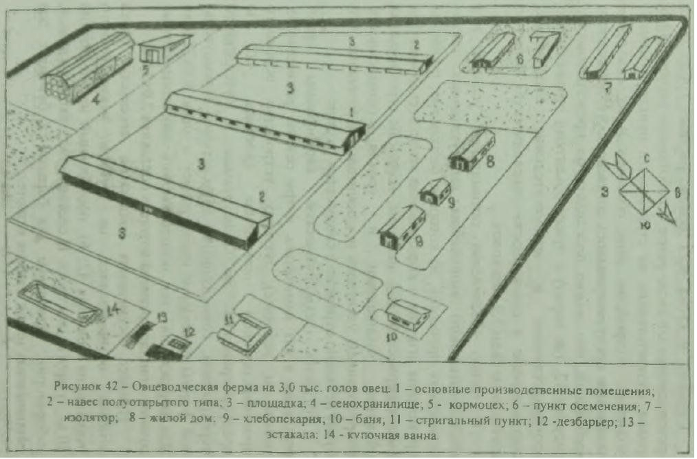 dibujo a pluma