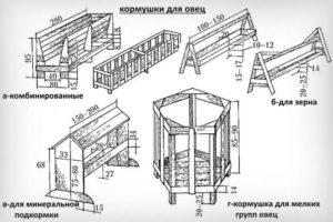 เครื่องให้อาหารแกะ 4 อันดับแรกขนาดและวิธีทำด้วยตัวเอง