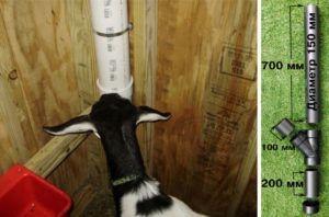 Types of goat feeders and how to do it yourself, instructions and drawings