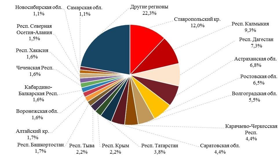 cría de ovejas en rusia