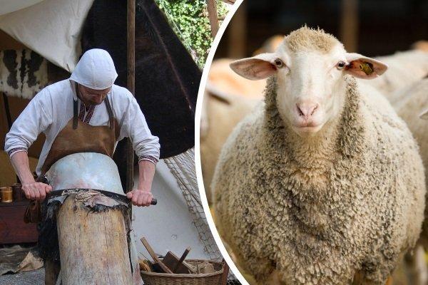 habiller la peau de mouton à la maison