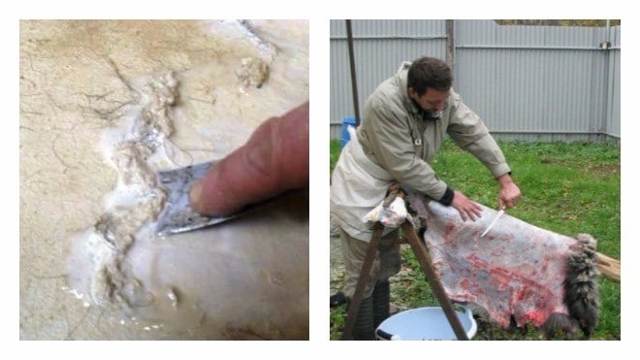 dressing sheep skin at home