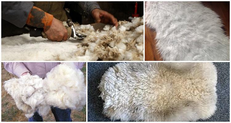 what is made of sheep wool