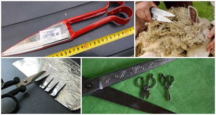 how to sharpen sheep shearing scissors