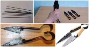 How and what to sharpen sheep shears at home, top 5 ways