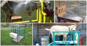 Dimensions and drawings of milking machines for goats and how to do it yourself