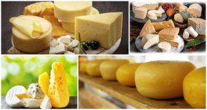 Top 4 types et noms de fromages au lait de brebis, avantages et inconvénients pour le corps