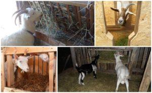 Types of goat feeders and how to do it yourself, instructions and drawings