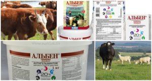 Instructions for use and composition of Albena for cattle, dosage and analogues