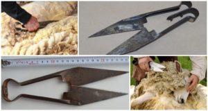 Varieties of shears for shearing sheep and how to choose a device, how much they cost