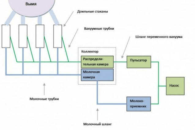 diagrama de dispositivo