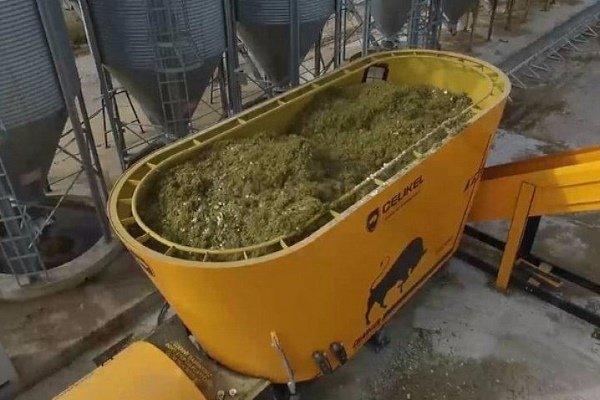 cattle feed dispenser