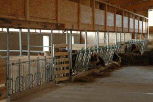 Project and drawings of a cowshed for 10 heads, how to build a farm with your own hands