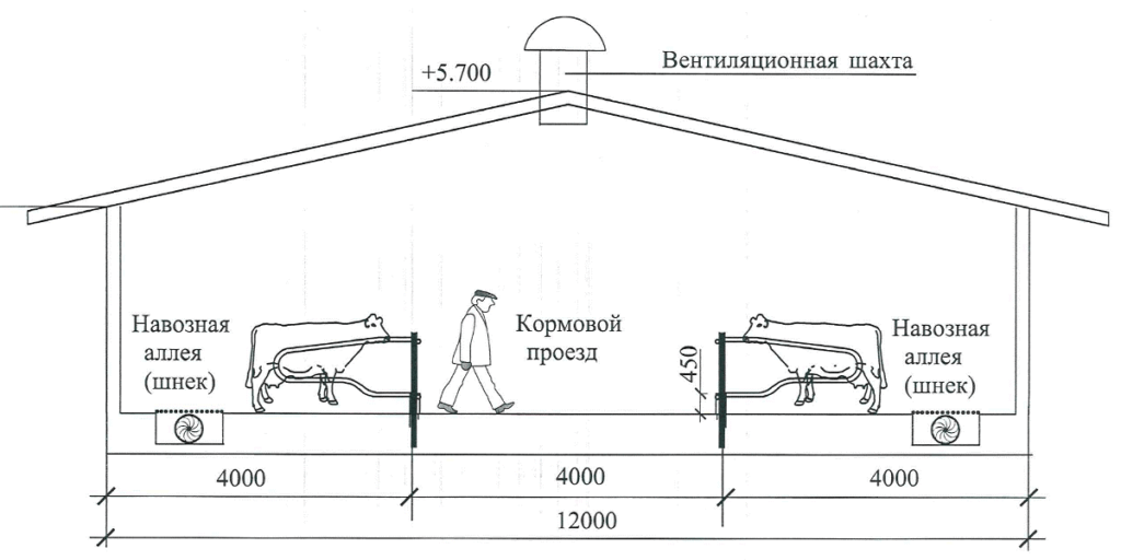 Drawings and dimensions