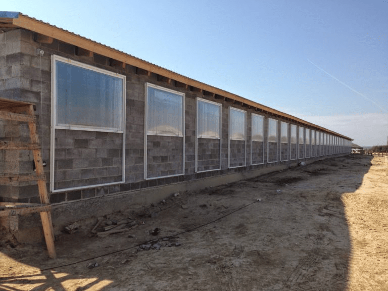 cowshed windows