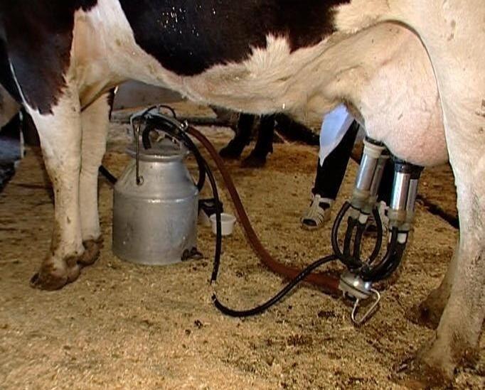 milking machine