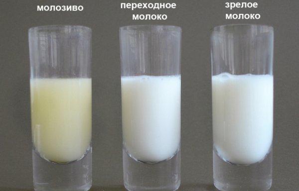 lait différent