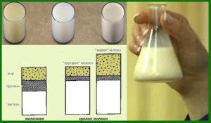 What are the ways to determine the fat content of cow's milk at home