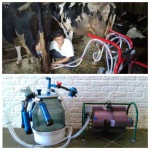 How to properly milk a cow with a milking machine at home