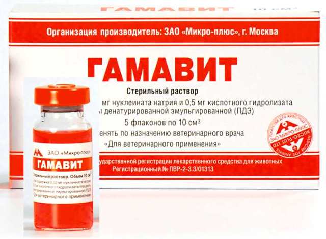 Gamavit drug