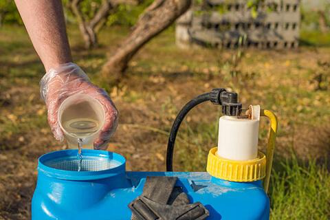 fertilizante para plantas