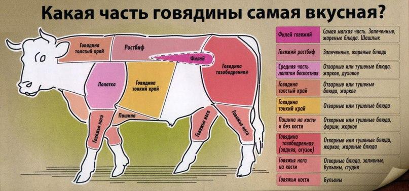 parties du corps de vache