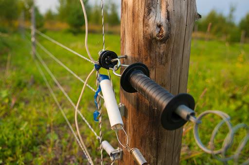 electric shepherd for cows