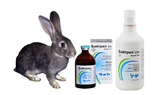 bytril for rabbits